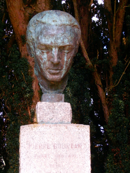 Le buste de près