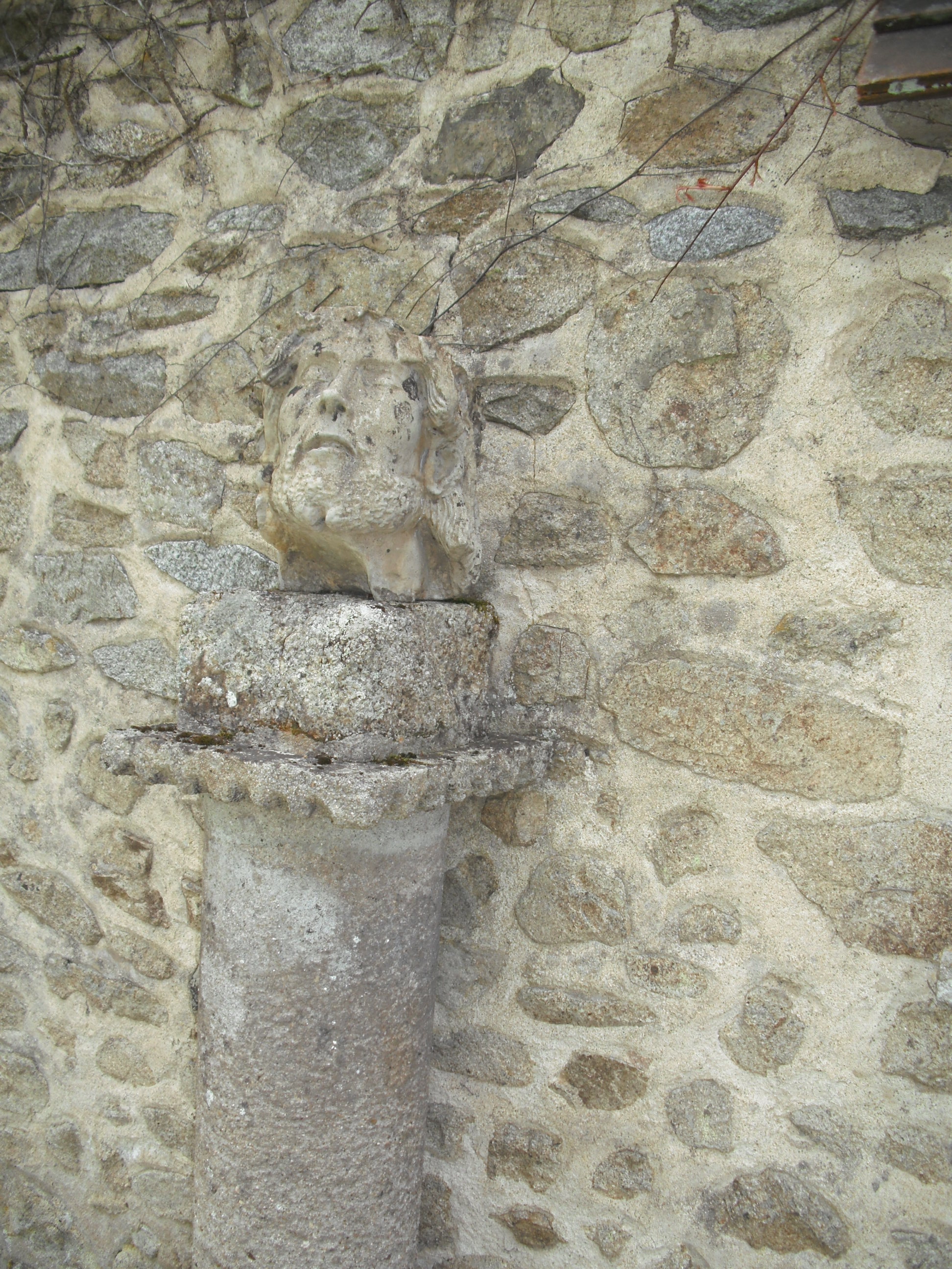 DSCF2409